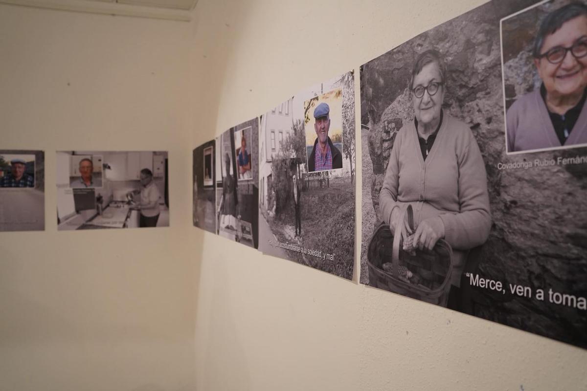 Algunas de las fotografías de la exposición.