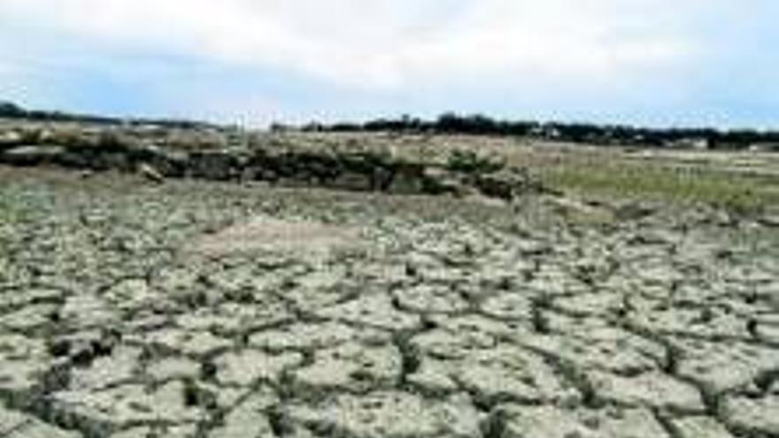 El Gobierno anuncia medidas de emergencia contra la sequía