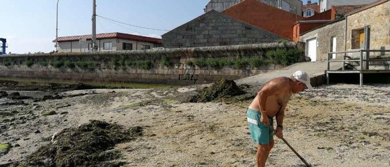 Bañistas de Carril limpian de algas la playa de Portugalete para poder disfrutar del sol. // Cedida