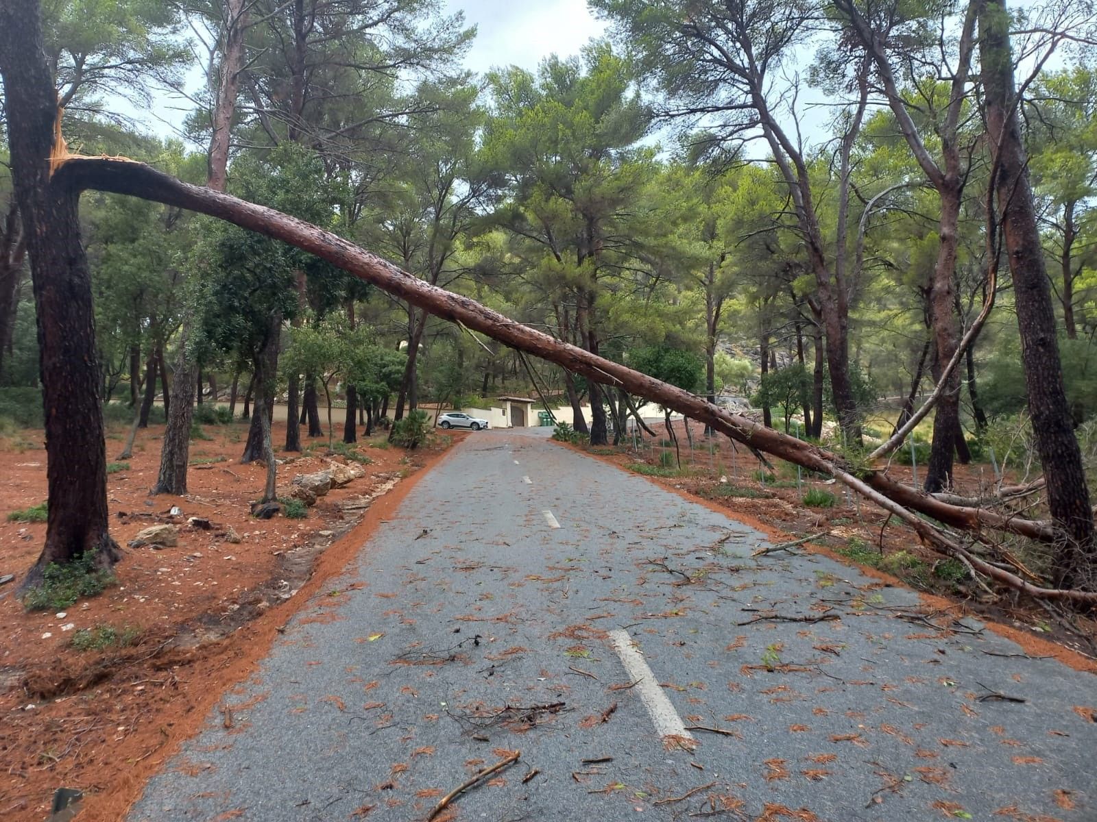 In Bildern: Das Unwetter auf Mallorca und die Schäden, die es hinterließ