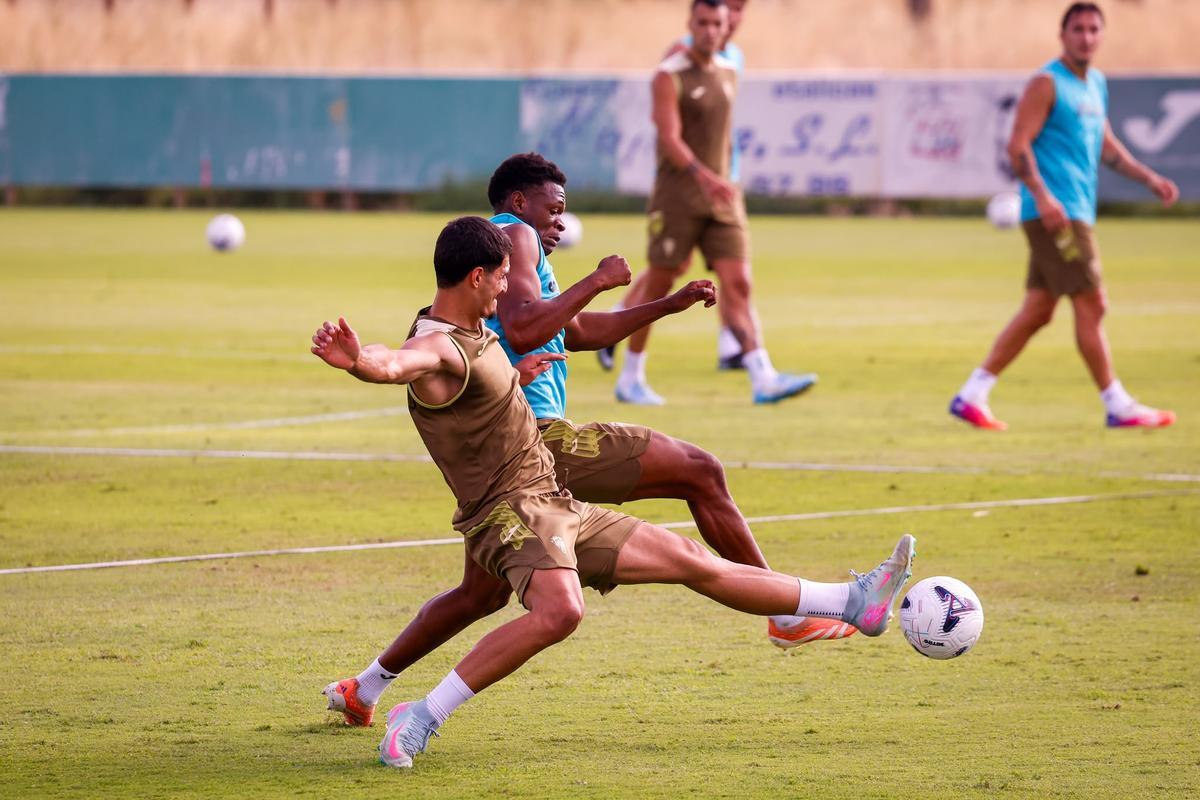 Cientos de aficionados asisten al tercer entrenamiento del Córdoba CF