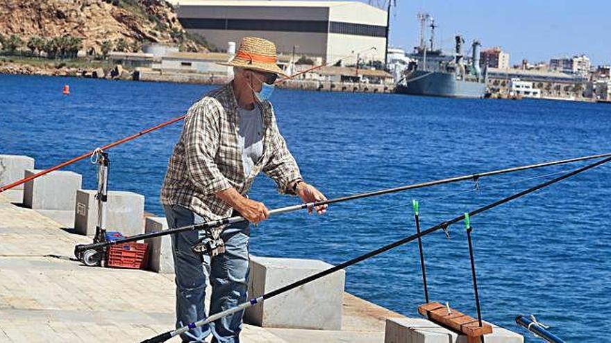 Vuelven los pescadores a los muelles