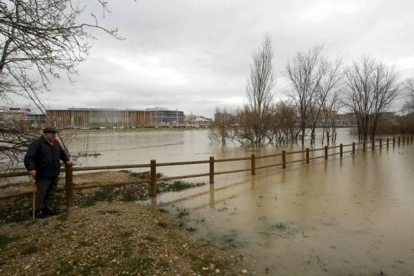 Fotogalería: Crecida en el río Ebro