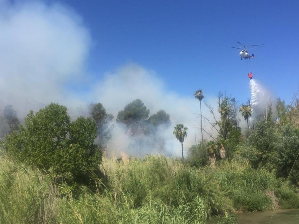 Un incendio forestal en el Menjú de Cieza rodea un Un incendio forestal en el Menjú de Cieza rodea un