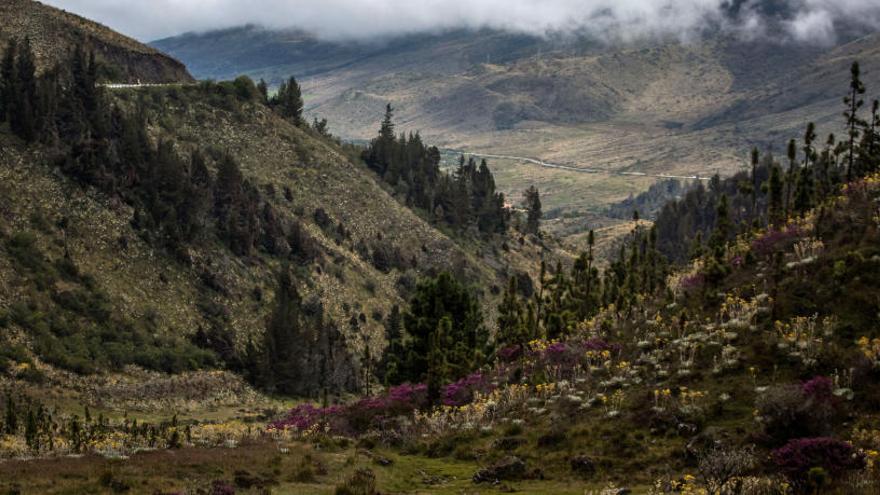 Curso no presencial sobre Riesgos Naturales