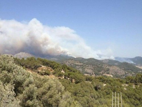 Alarm auf Mallorca: Waldbrand bei Andratx