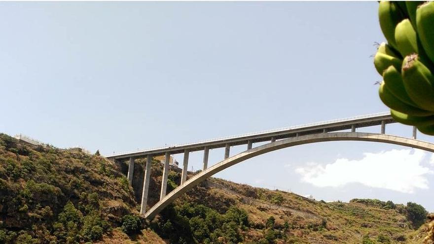 Zona agrícola en San Andrés y Sauces.