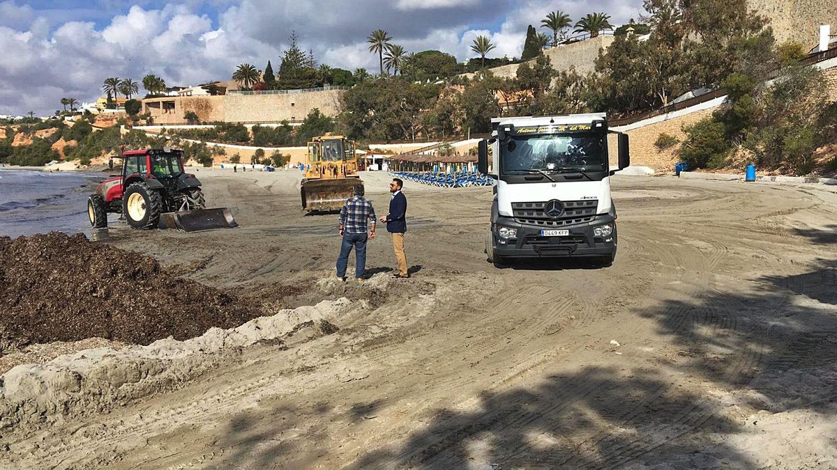 Limpieza en una playa de la costa oriolana por parte de empleados municipales, en una imagen de archivo.  | INFORMACIÓN