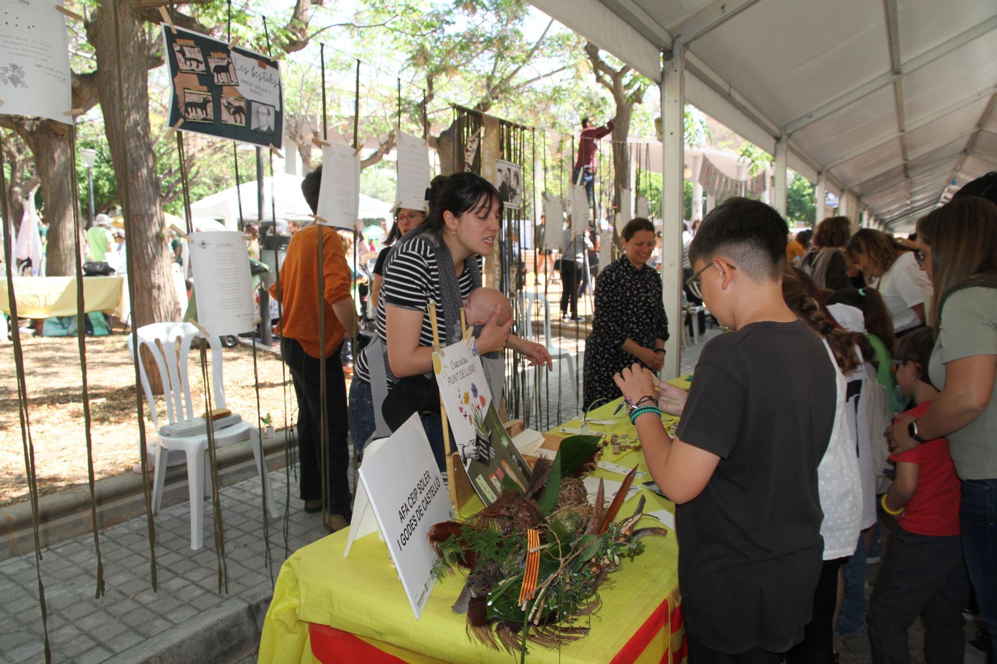 Festa per la llengua