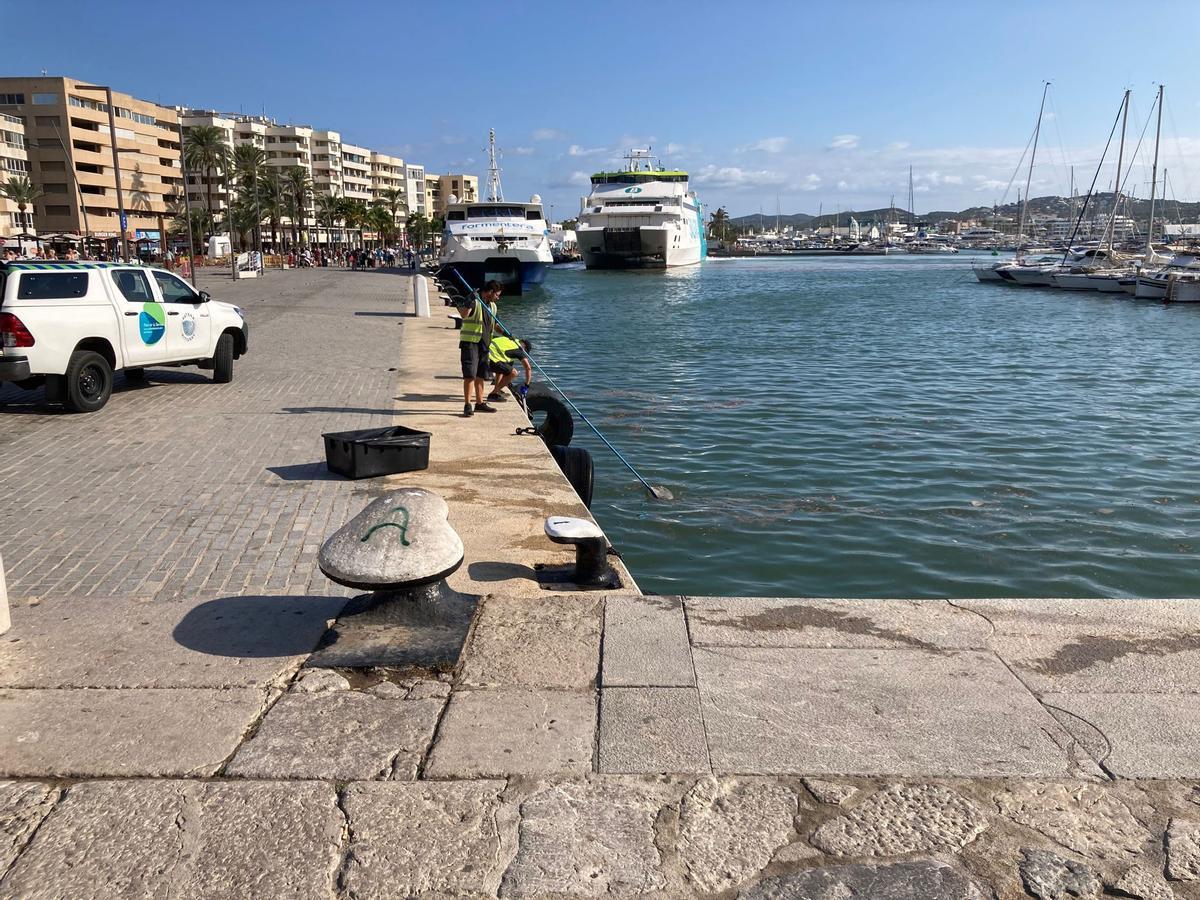 Suciedad en el Puerto de Ibiza tras la tormenta