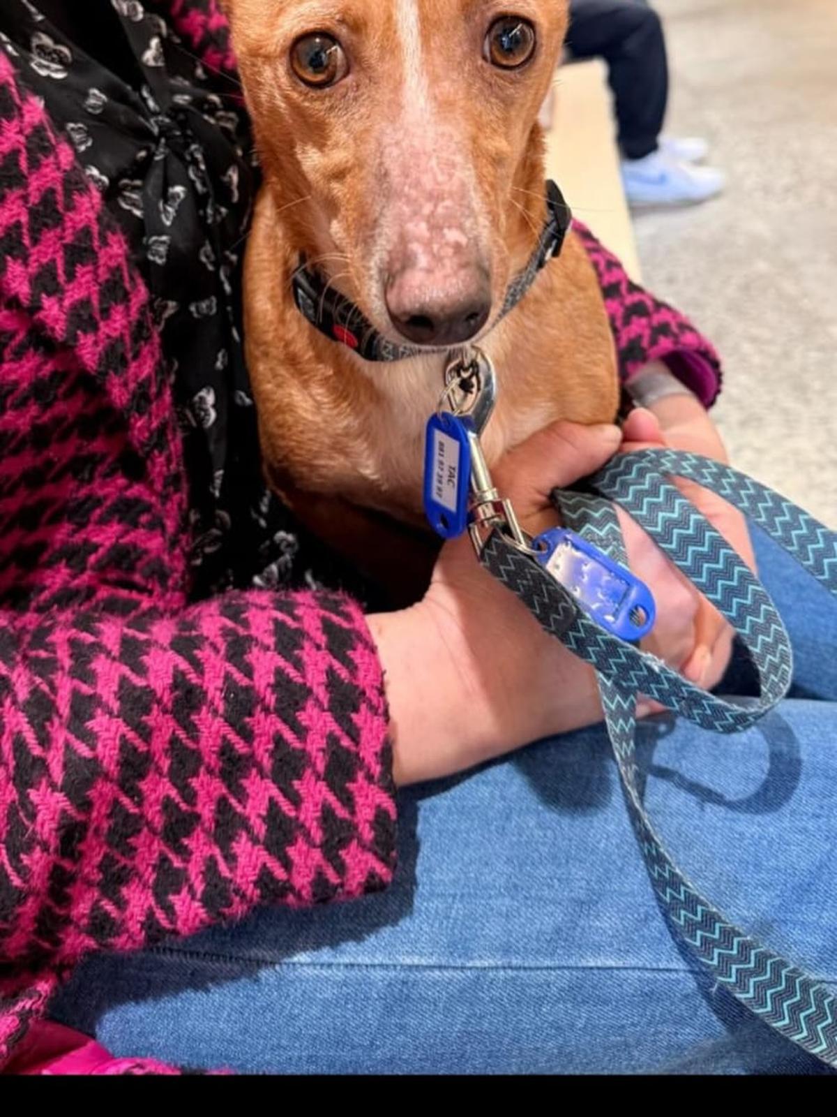 Silva también encontró un hogar.