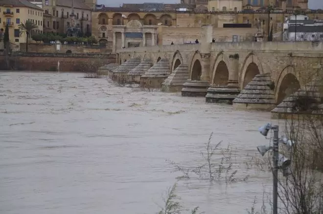 El río Guadalquivir, en umbral rojo a su paso por la capital