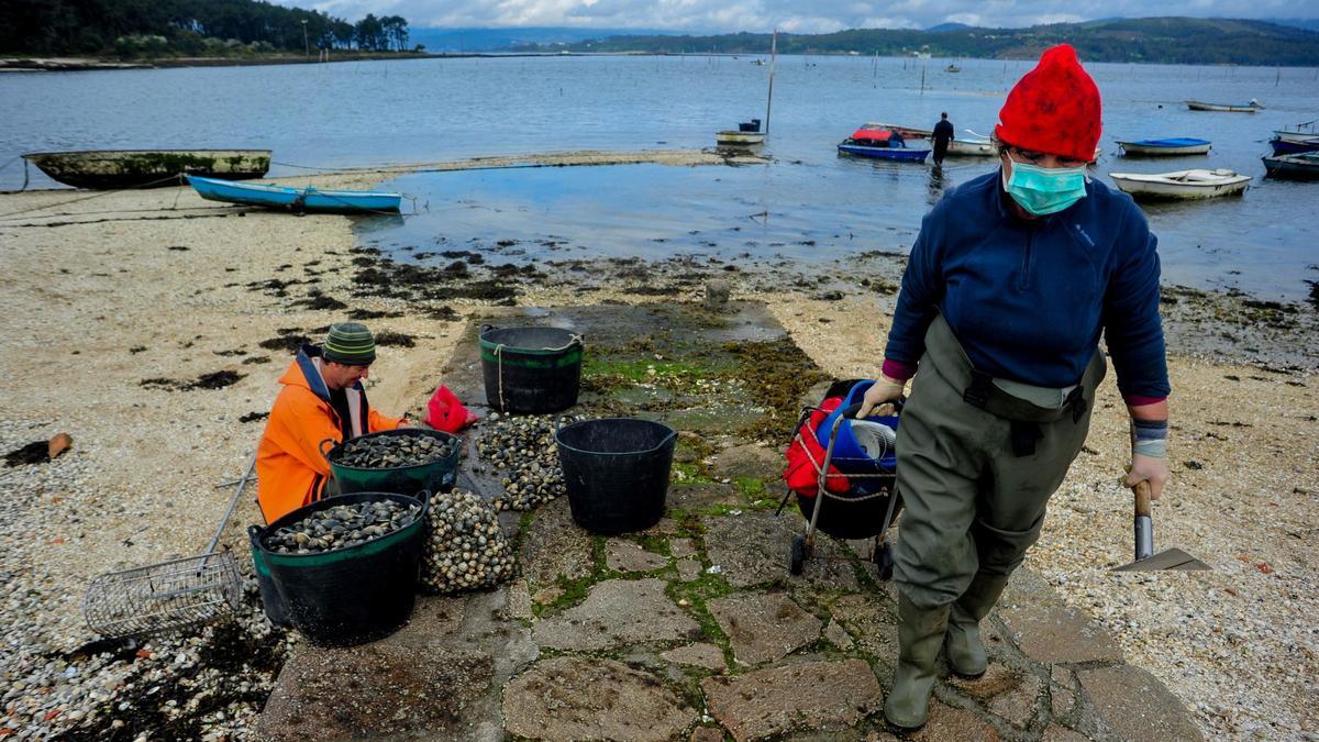 Mariscadores en Carril.