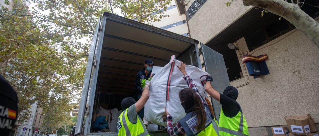 Policías cargan parte de las plantas intervenidas en la finca de  Sant Jordi. | GUILLEM BOSCH