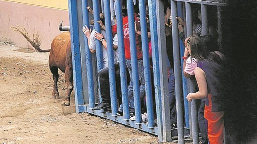 ‘Mocadorà’ para los ejemplares de Miura y Pérez-Tabernero en las fiestas de Almassora