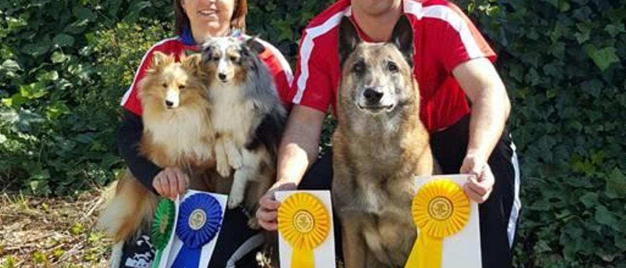 La almusafense Isabel Gimeno arrasa en las pruebas de agility de Torrent