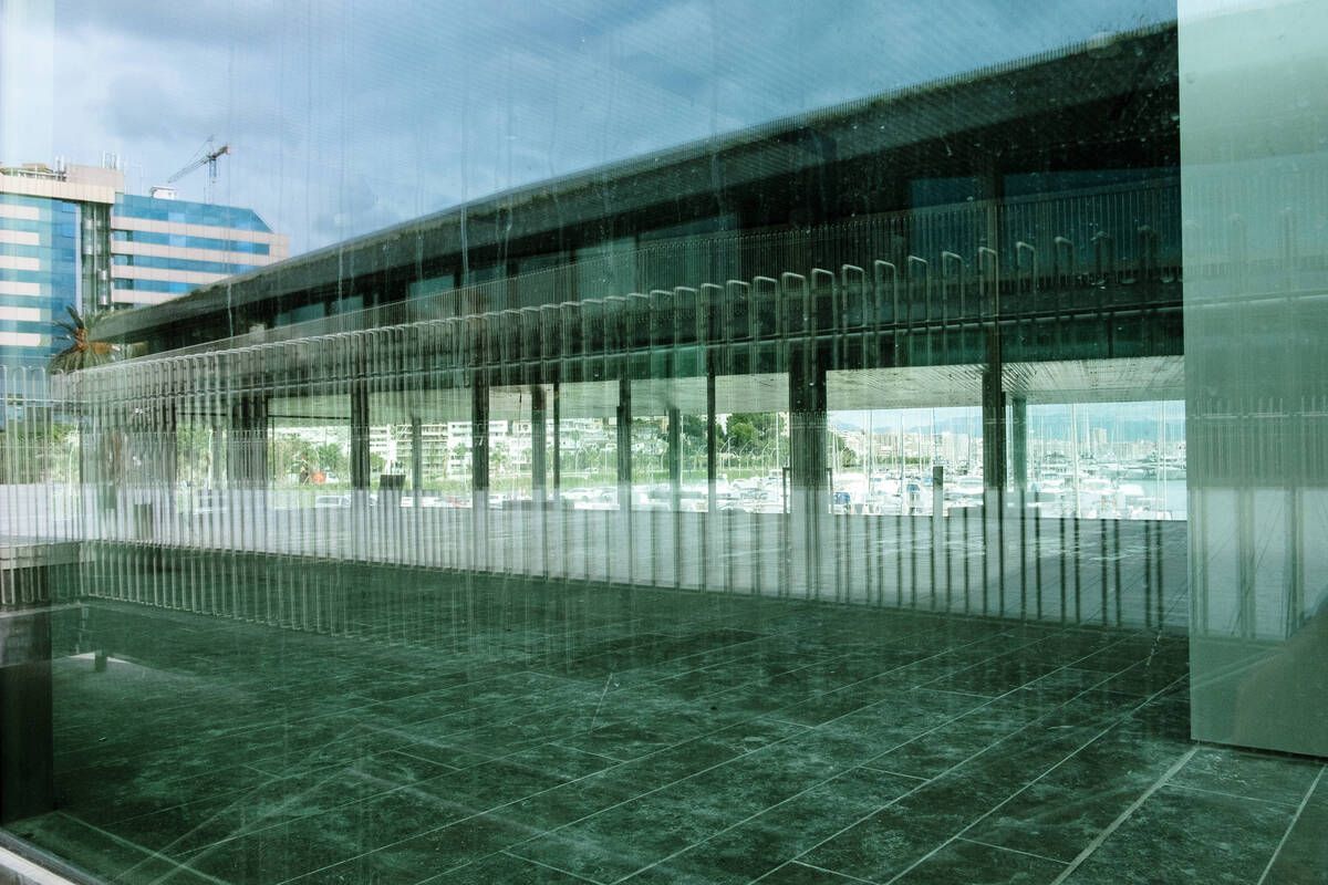 251010DMA_Bernardo A (225269277).jpg