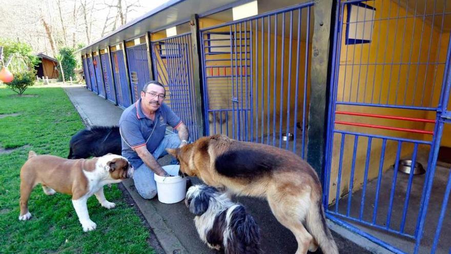 Felipe Pombo, &quot;Pipo&quot;, junto a varias mascotas, en las instalaciones de Rozaes de Bacuelo.