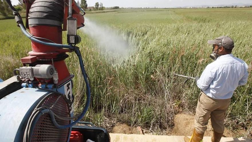 La falta de coordinación dificulta la lucha contra la plaga de mosquitos