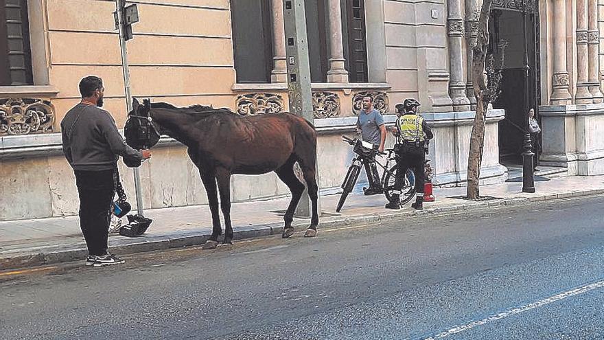 Polizei hält Kutsche in Palma de Mallorca an, damit das Pferd eine Pause bekommt