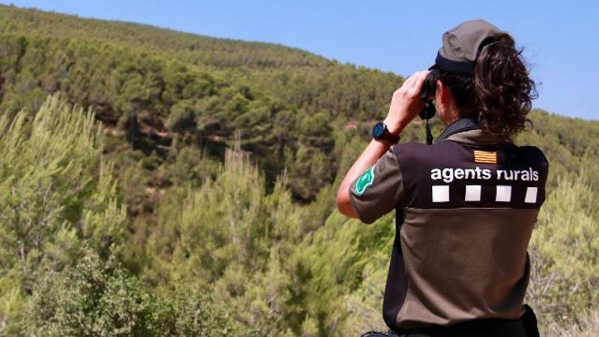Una Agent Rural fa vigilància de zona forestal