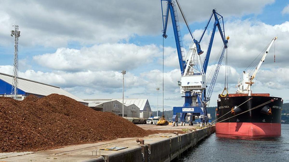 El Puerto de Marín acentúa el control de focos de vertidos al mar para reducir su impacto