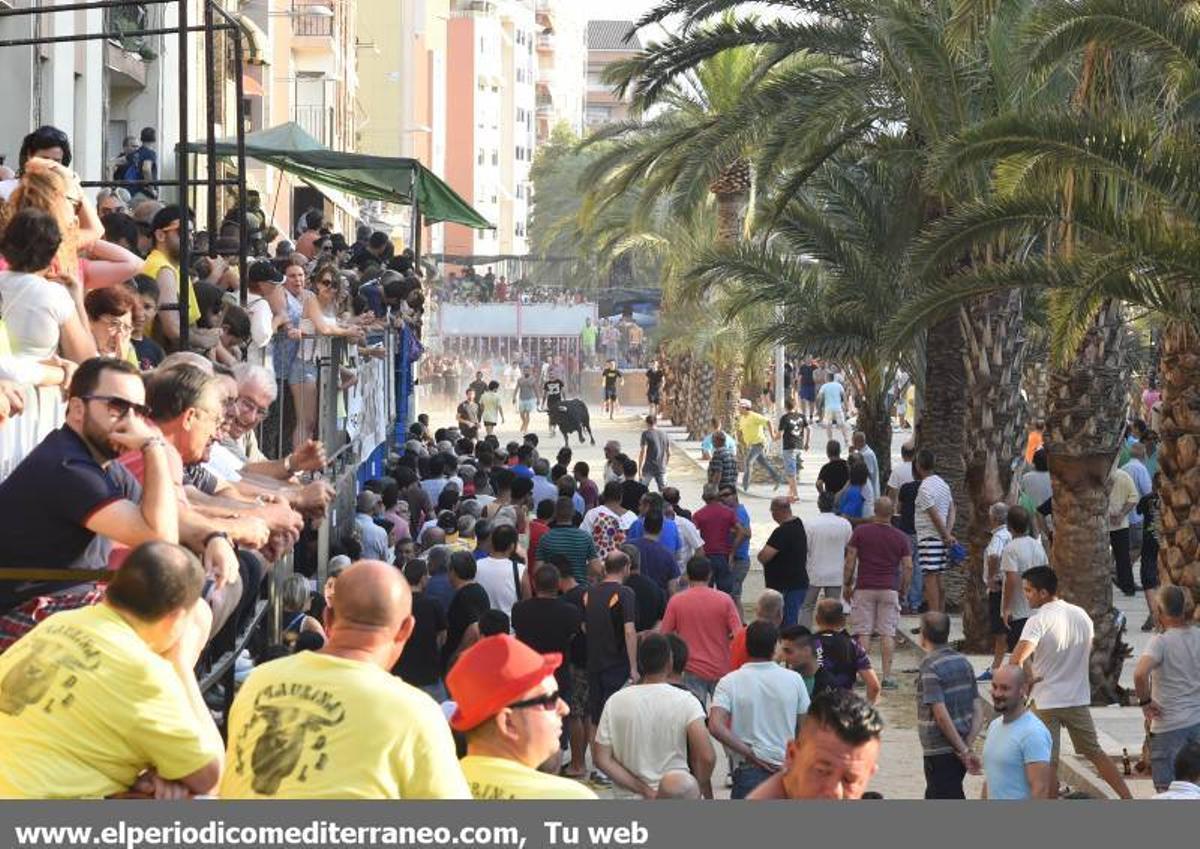 Desfile de peñas y toro fiestas Sant Pere Desfile de peñas y toro fiestas Sant Pere