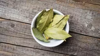 Una hoja de laurel en el horno: el remedio casero para eliminar sin esfuerzo la grasa y los malos olores de este electrodoméstico