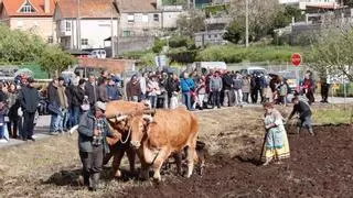 Matamá reivindica la tradición y la vida en el rural con su Sementeira