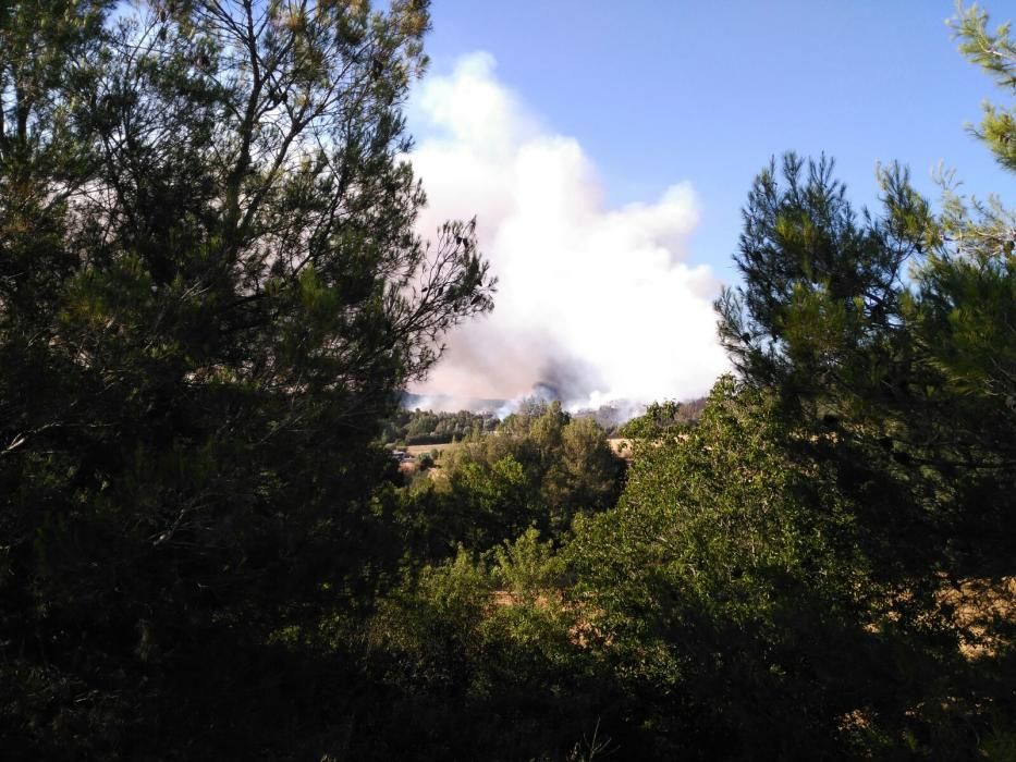 Fotos de l'incendi d'Avinyó.