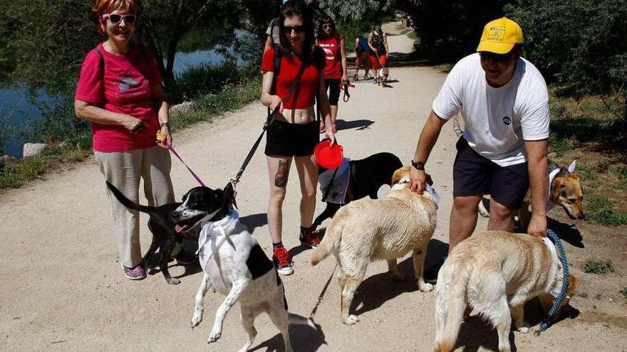 V Marcha contra el Abandono de Defensa Animal Zamora desde Olivares