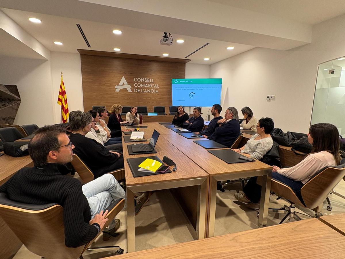 Consell Comarcal de l'Anoia