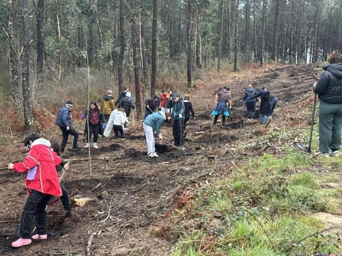 Los jóvenes durante la plantación.