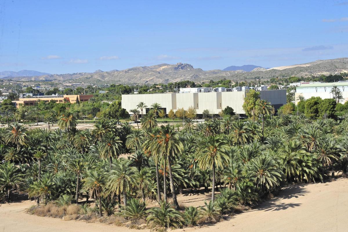 Panoramicas del campus de Elche de la UMH desde el edificio Valona