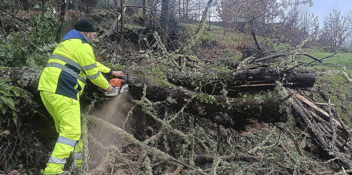 Un operario, trabajando en la maleza a orillas de una carretera provincial. | FDV