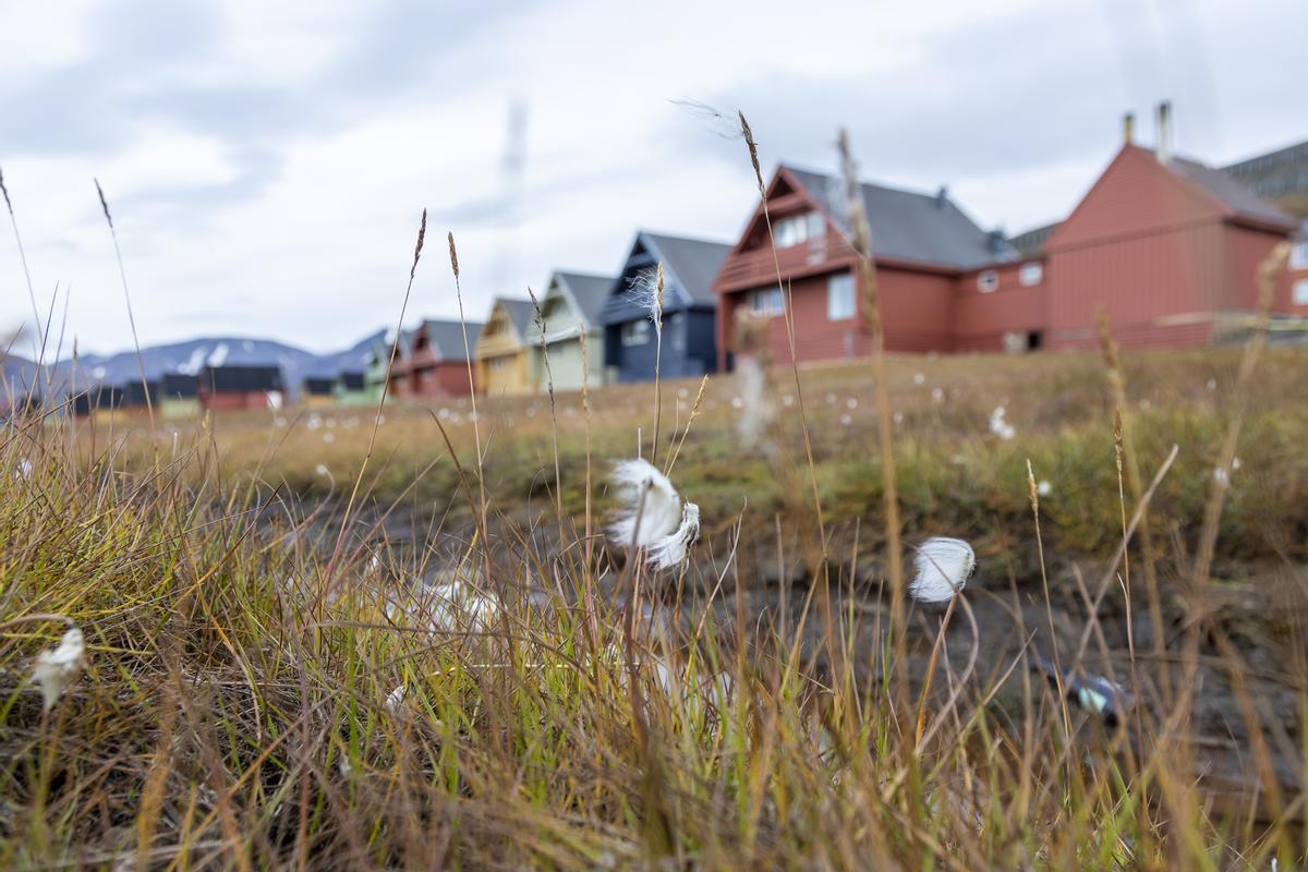 Longyearbyen en las islas Svalbard, situadas en el océano Glacial Ártico y pertenecientes a Noruega.