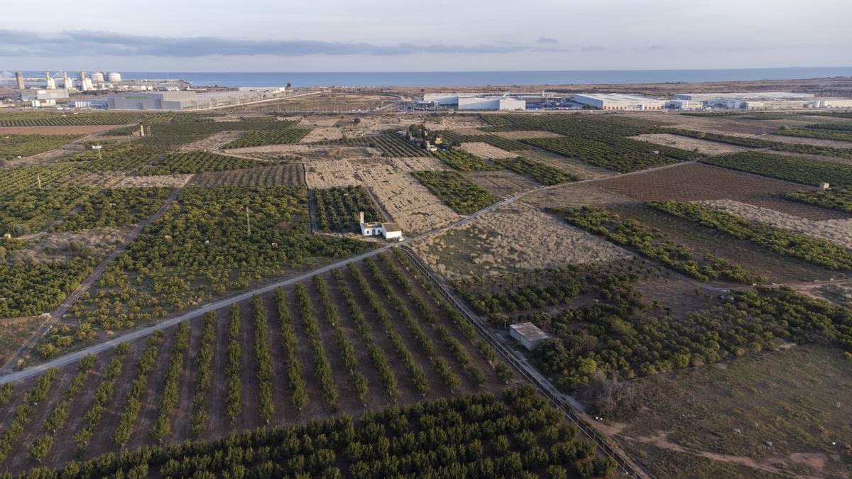 Terrenos donde se ubicará la gigafactoría en Parc Sagunt