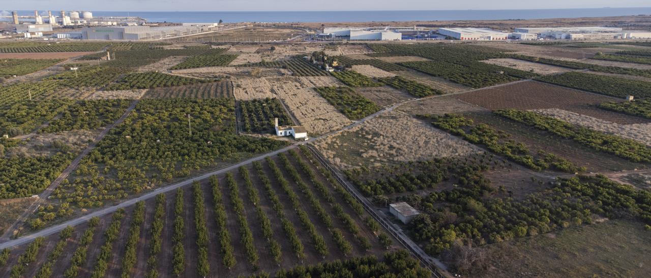 Terrenys on se situarà la gigafactoria en Parc Sagunt