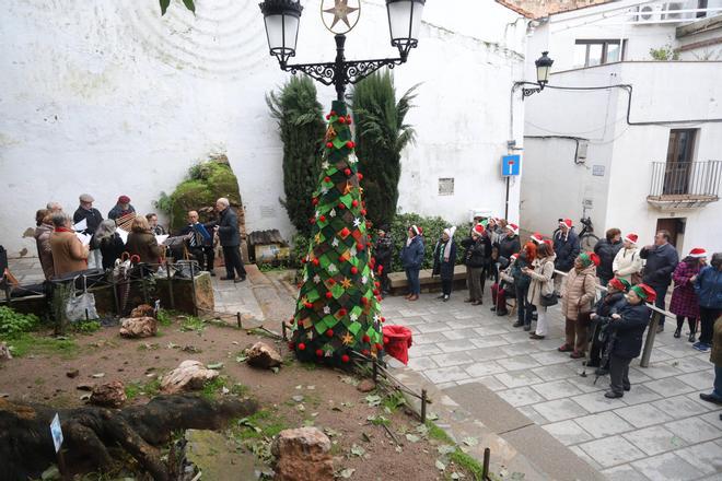 Inauguración del árbol navideño en la plaza del Socorro de Cáceres