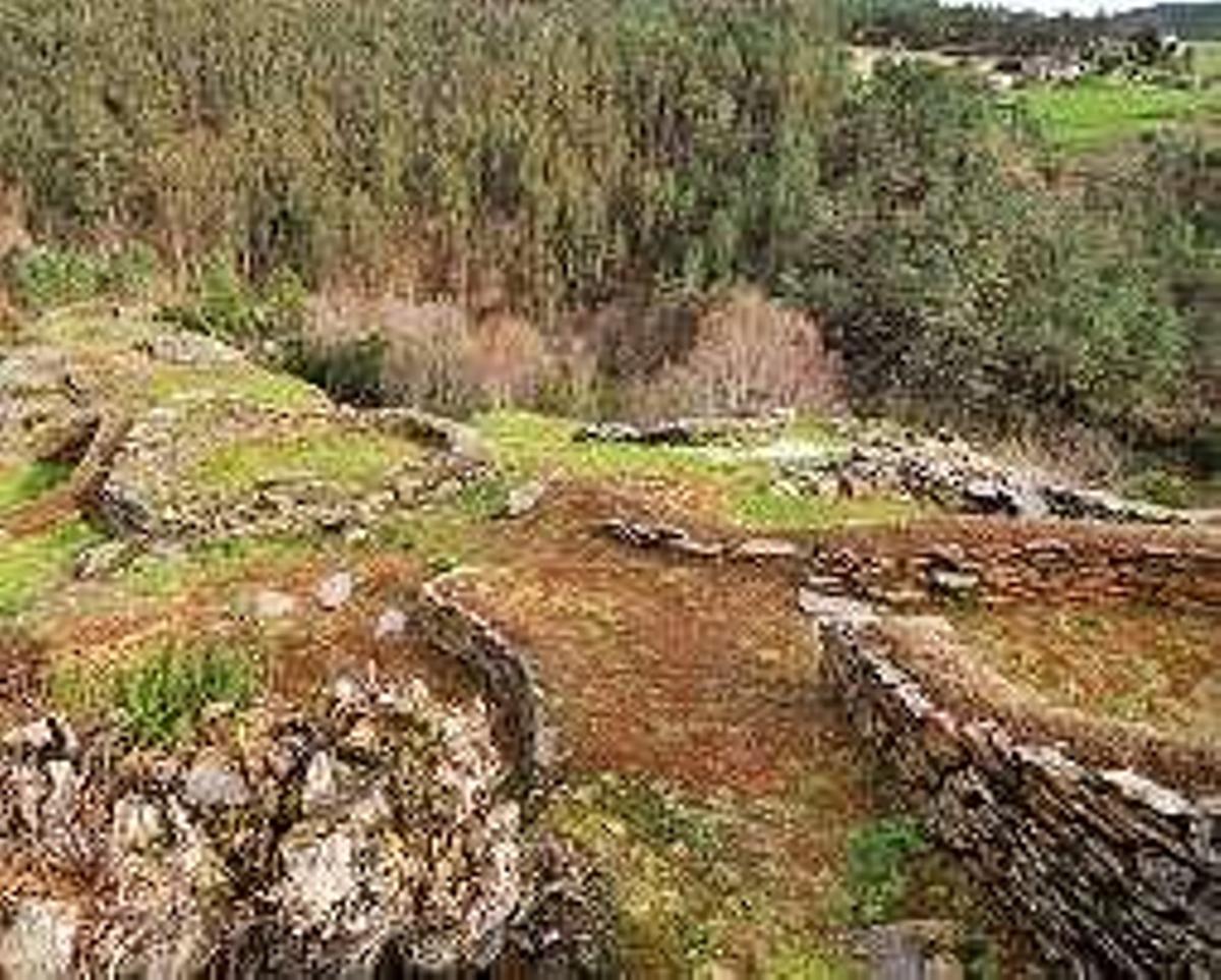 Una de oreja en Boal