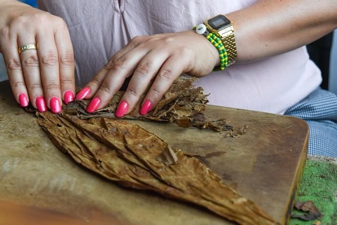 27-08-20  LAS PALMAS DE GRAN CANARIA. SCHAMANN. LAS PALMAS DE GRAN CANARIA.  Reportaje al único taller de puros artesanos que hay en la capital. El taller se llama Doble M y lo lleva Mercedes Martínez, ella es cubana y trae las hojas de tabaco desde la isla caribeña, todo lo hace a mano.  Fotos: Juan Castro.  | 27/08/2020 | Fotógrafo: Juan Carlos Castro