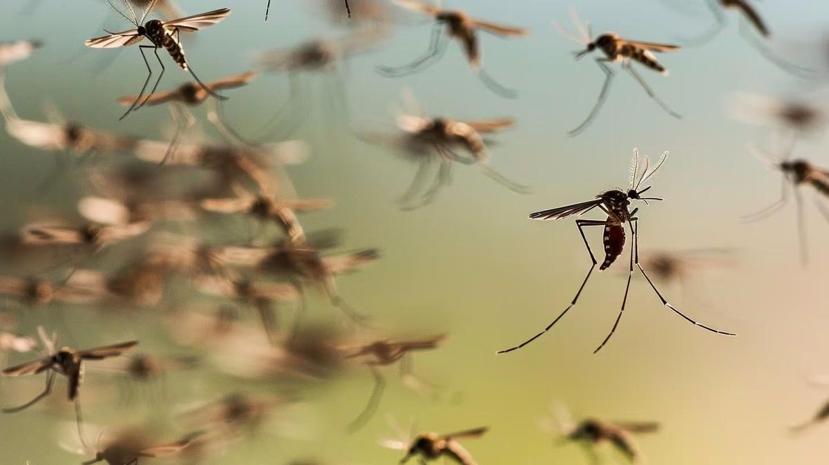 Las lluvias provocan que estos insectos adelanten su llegada.