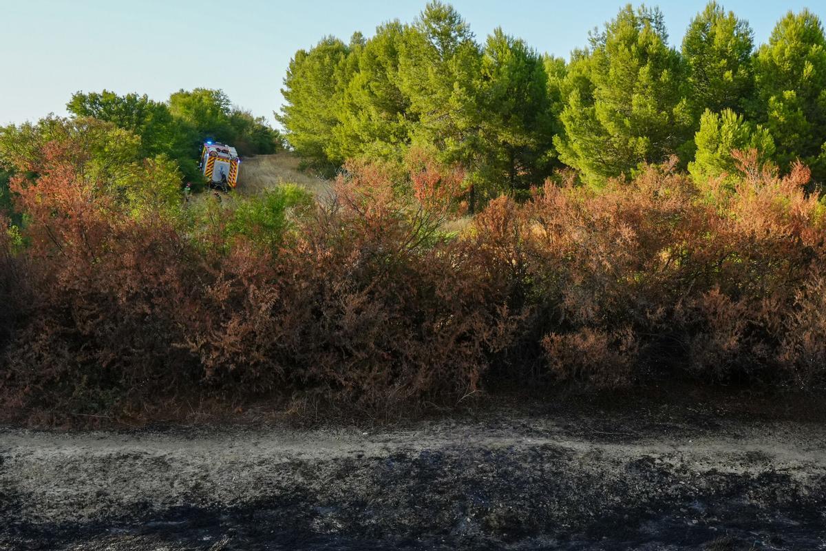 Bomberos trabajan en el Conjunto Arqueológico de Itálica para sofocar las llamas. A 8 de agosto de 2025 en Santiponce, Sevilla (Andalucía, España). El Consorcio provincial de Bomberos trabaja en un incendio declarado en el interior del recinto de Itálica