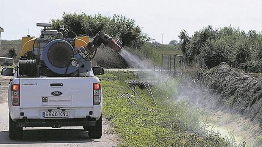 Diputación destina un millón para combatir el mosquito en Castellón