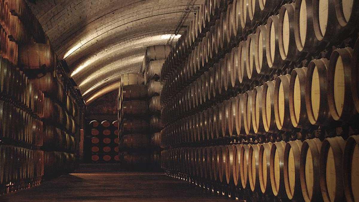 Interior de una bodega