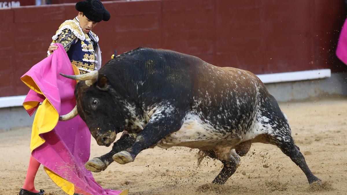 El diestro Manzanares, durante un momento del festejo.