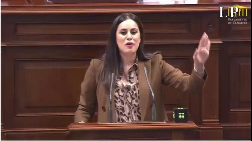 Vidina Espino: "Los diputados del PSOE sirven para que gobiernen los gomeros, Podemos y Nueva Canarias"