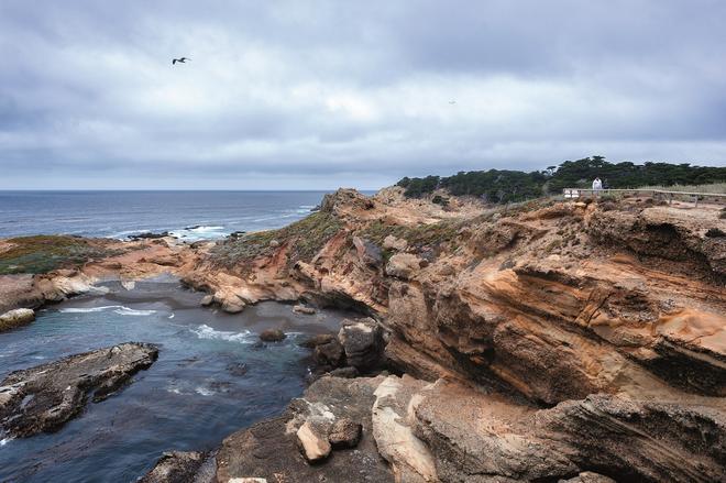 Reserva natural de Point Lobos.