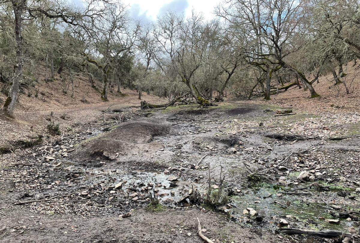 Estado de degradación del Parque Nacional de Cabañeros.