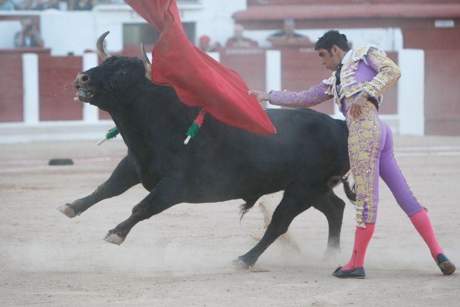 Toros en Zamora